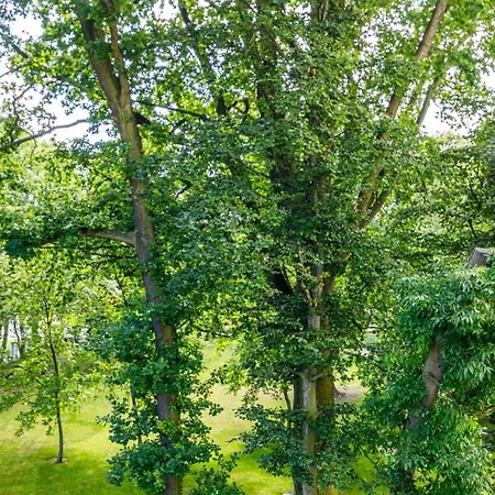BillBerry Apartments - Gdańska Lägenhet Gdańsk